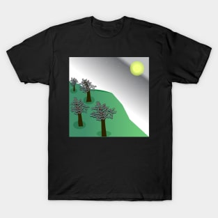 night view in top hill T-Shirt